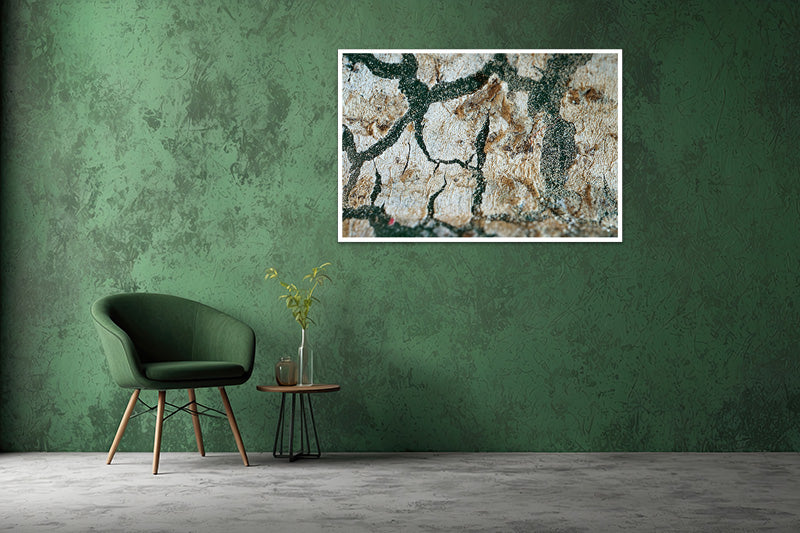 Untitled#54